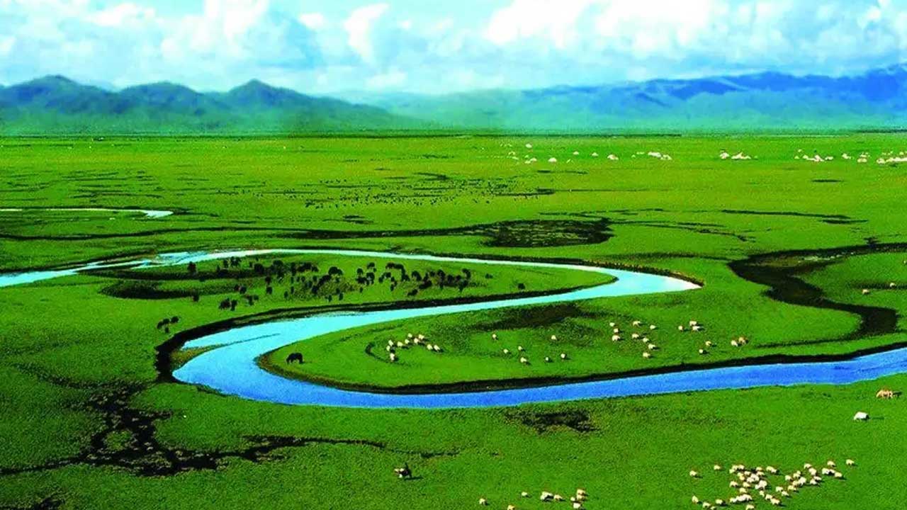 若爾蓋大草原 若爾蓋大草原.jpg