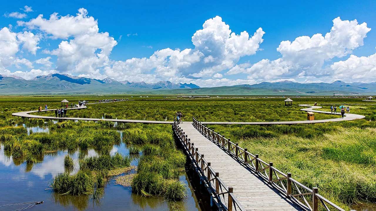 若爾蓋花湖 若爾蓋花湖.jpg