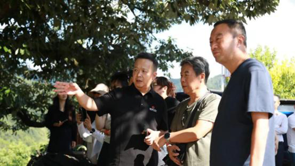 文旅專家實(shí)地考察.jpg